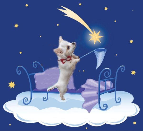 Фразы про звездное небо