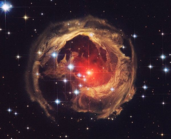 V838 Monocerotis