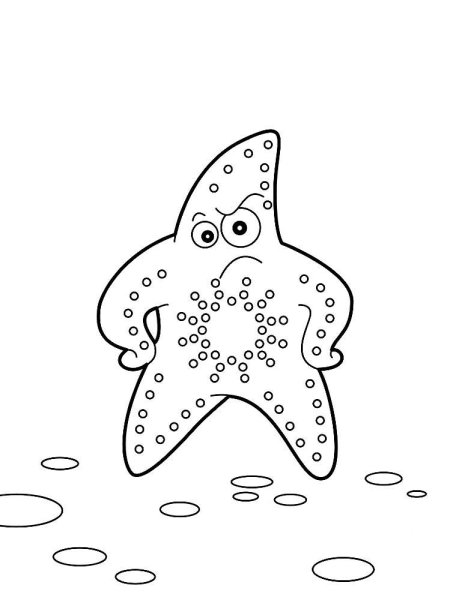 Морская звезда контур