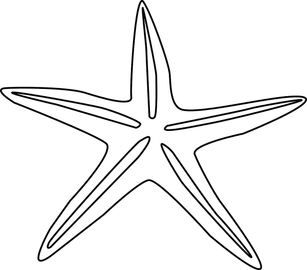 Аппликация морская звезда