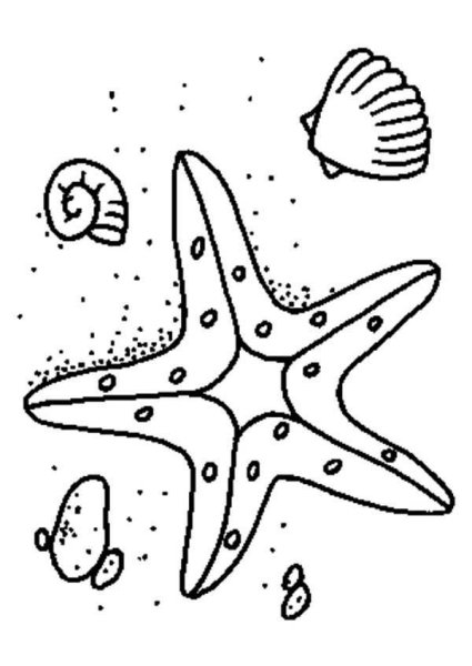 Starfish Flower Coloring Page : Kids Play Color Starfish drawing, Coloring pages