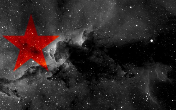 Рождественские звездочки