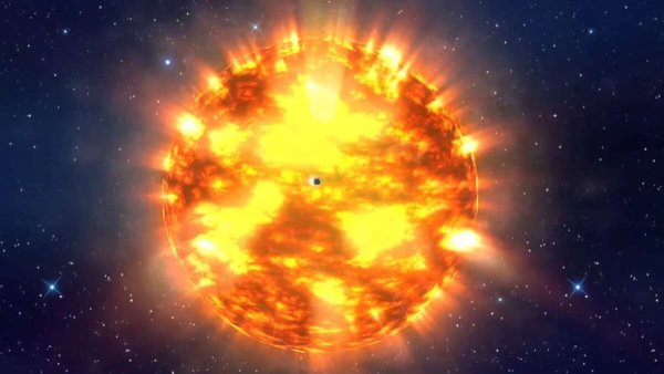 Красные сверхгиганты звезды