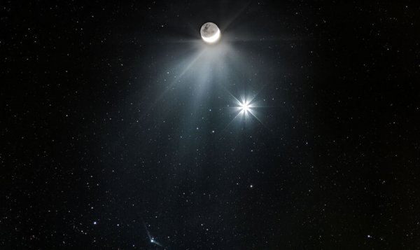 Звезда Венеры