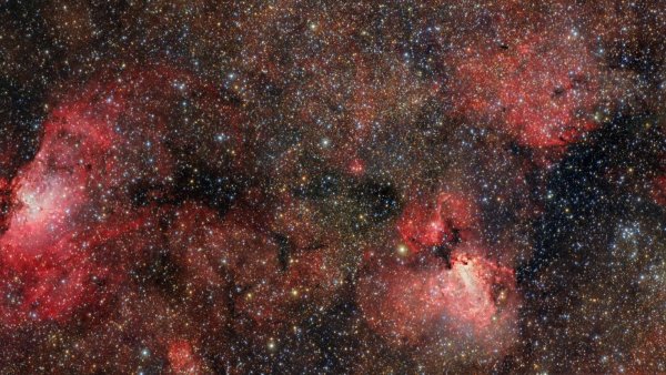 Голубой гипергигант звезда r136a1