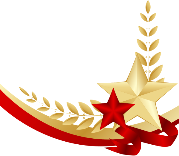 Звезда из георгиевской ленты