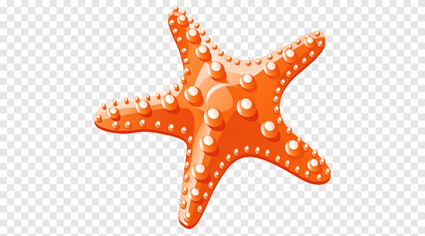 Морская звезда мультяшный