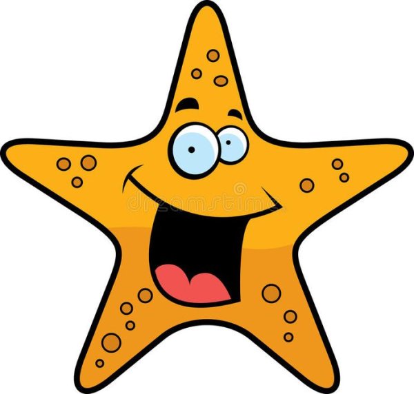 Веселая морская звезда