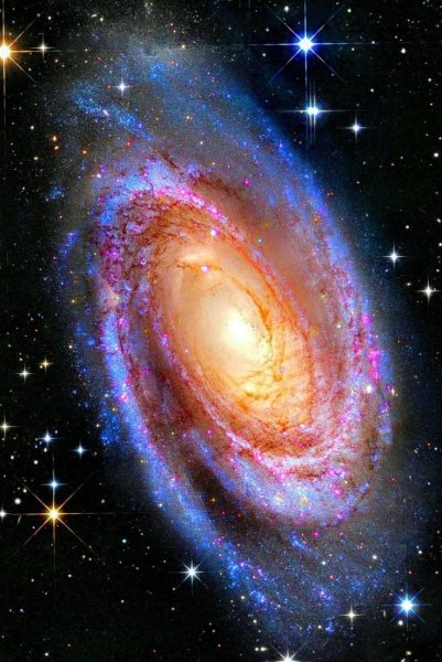 Полярная звезда самая яркая