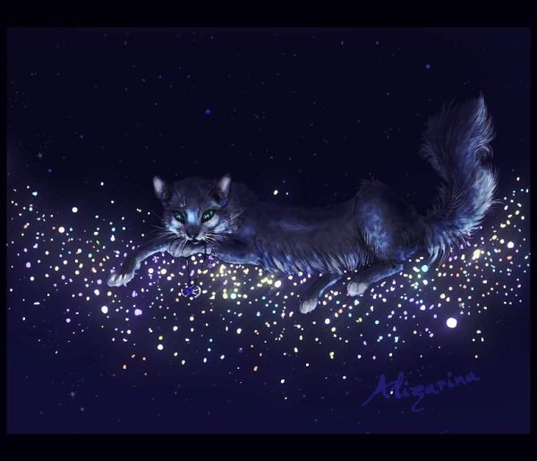 Коты Воители Звёздное племя