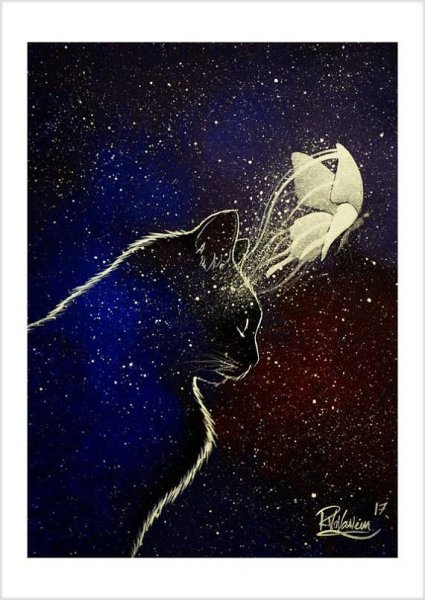 Коты Воители космос