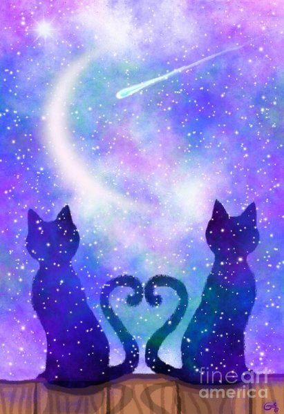 Котик и звездное небо