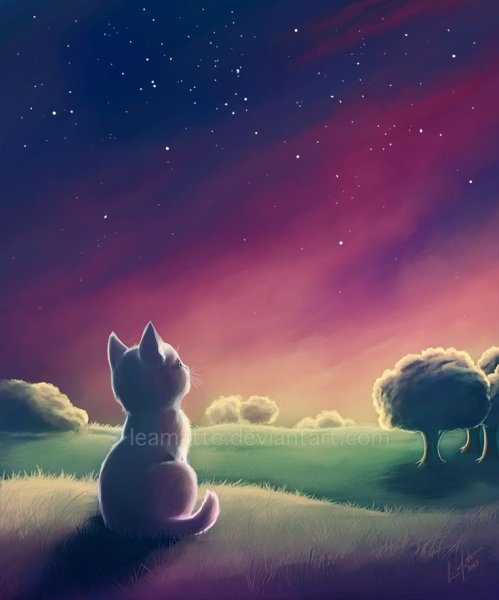 Коты Воители Звёздное племя