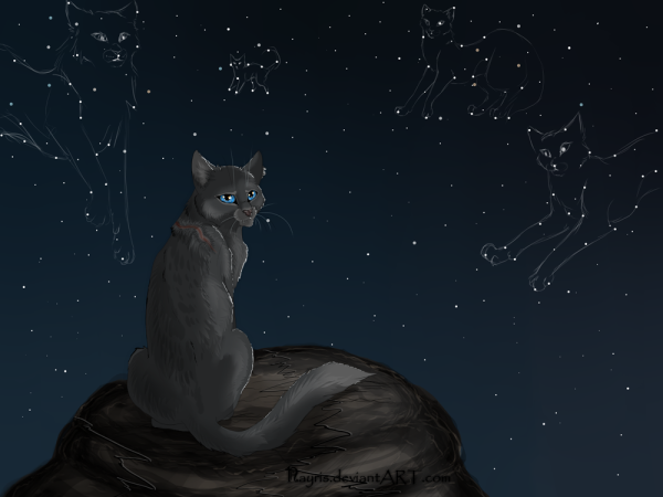 Коты Воители Звёздное племя