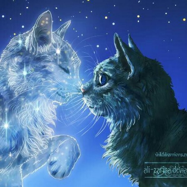 Кошка под луной