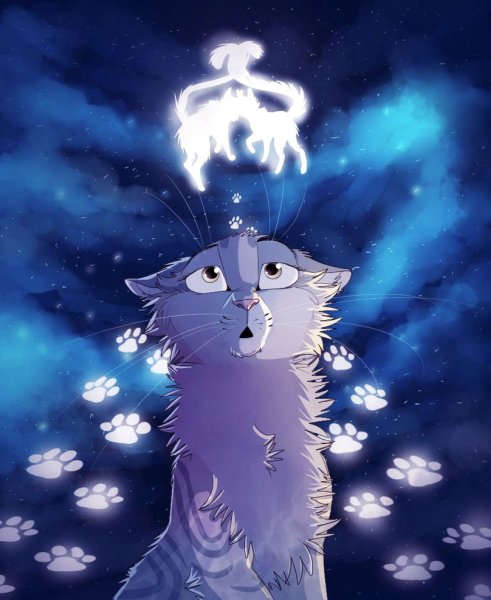 Кот ночью арт