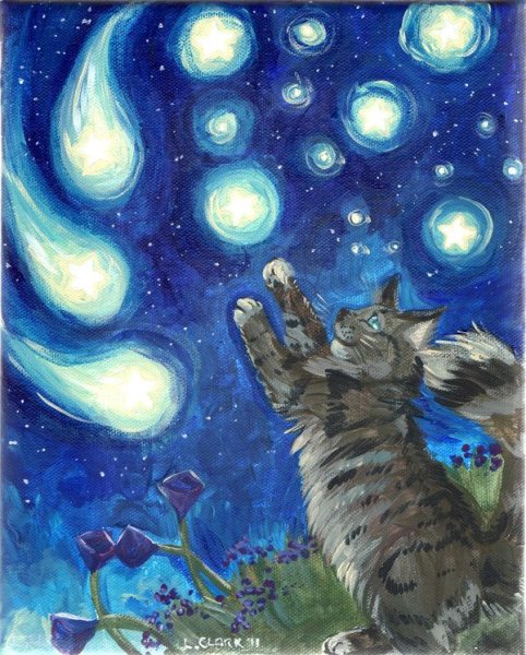 Кот и звездное небо