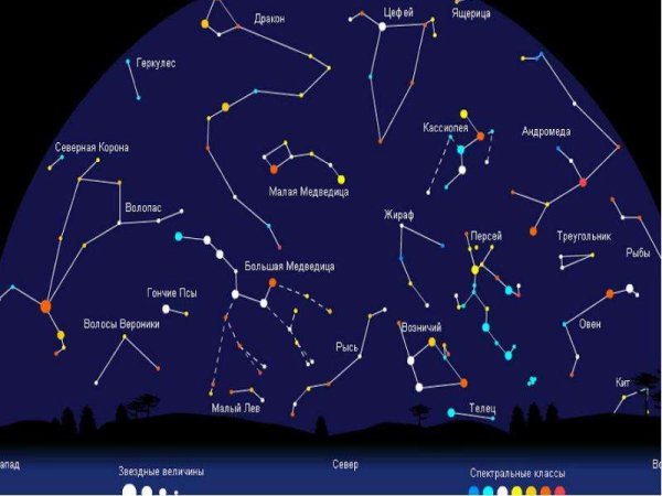 Созвездие дракон большая Медведица Цефей Кассиопея