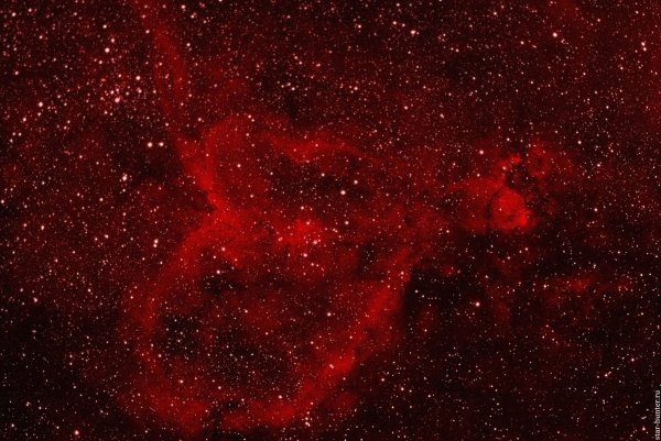 Бета Цефея звезда