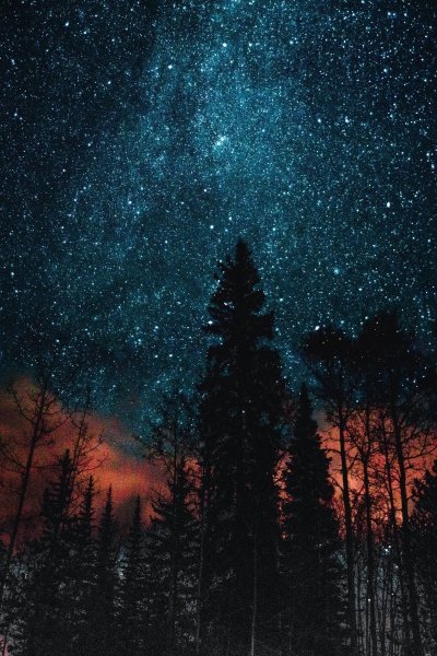 Ночь лес звезды