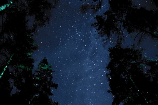 Красивое ночное небо