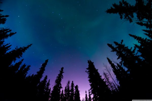 Звезды отражаются в воде