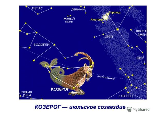 Мое зодиакальное Созвездие Козерог