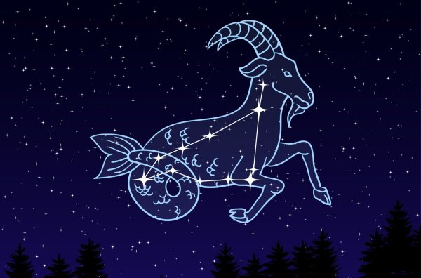 Знаки зодиака Созвездие Capricorn