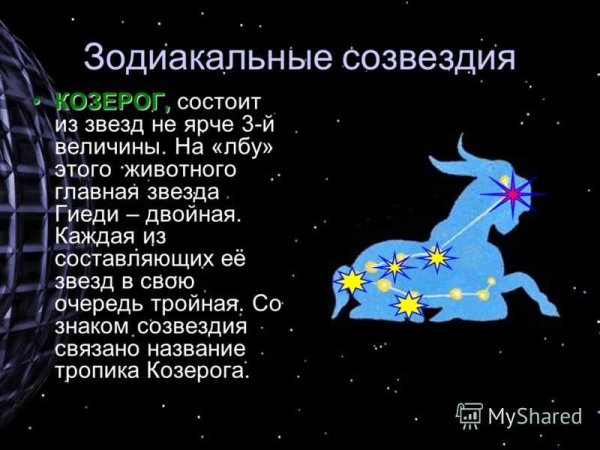 Capricorn Созвездие