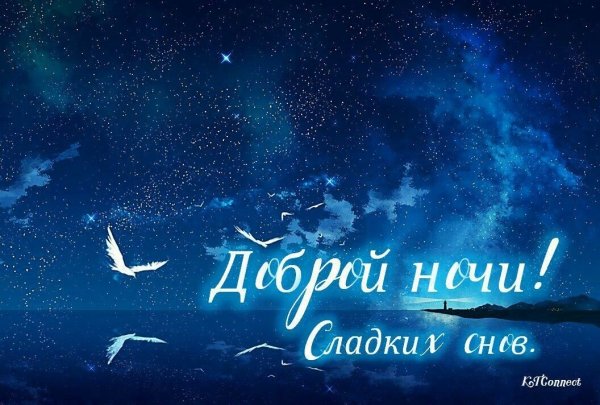 Тихой ночи сладких снов