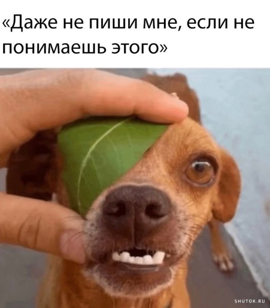 Осторожно злая Аня
