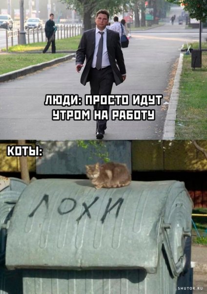 Открытки с приколами и надписями