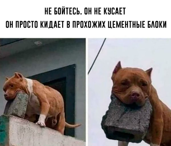 Анекдоты про Машу