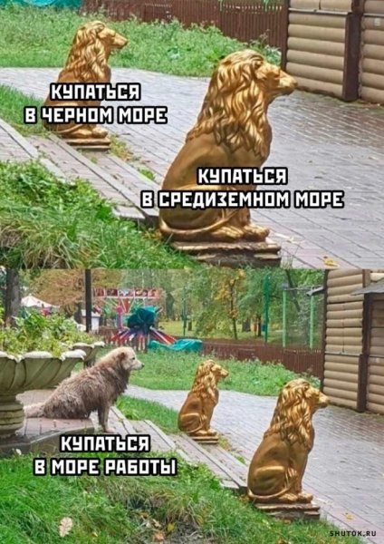 Прикольное фото в трусах