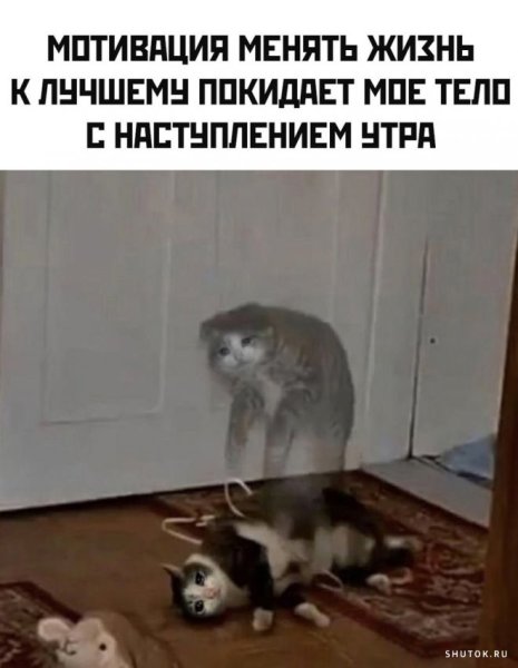 Марина и Артем