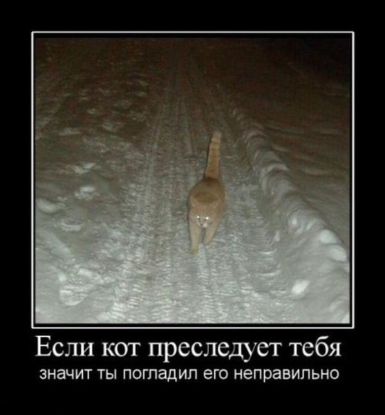 Необычные надписи