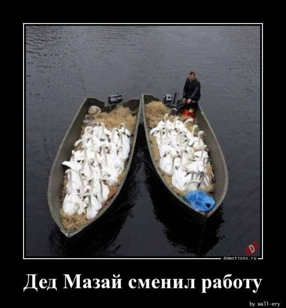 Ушла творить добро надеюсь никто не пострадает