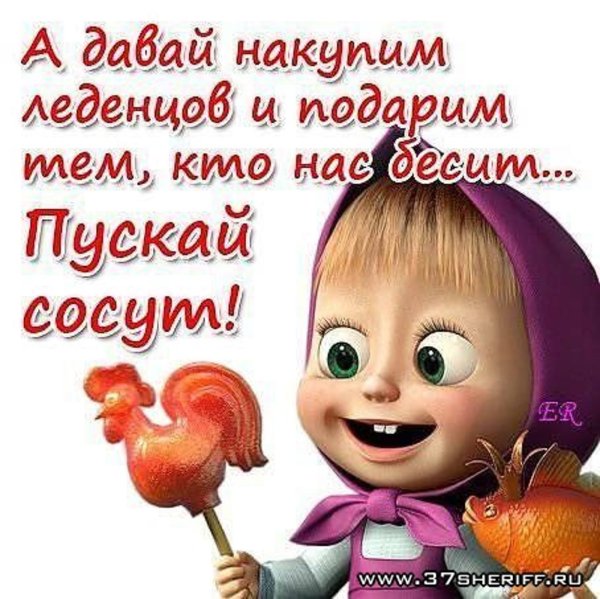 Хитрые коты с надписями