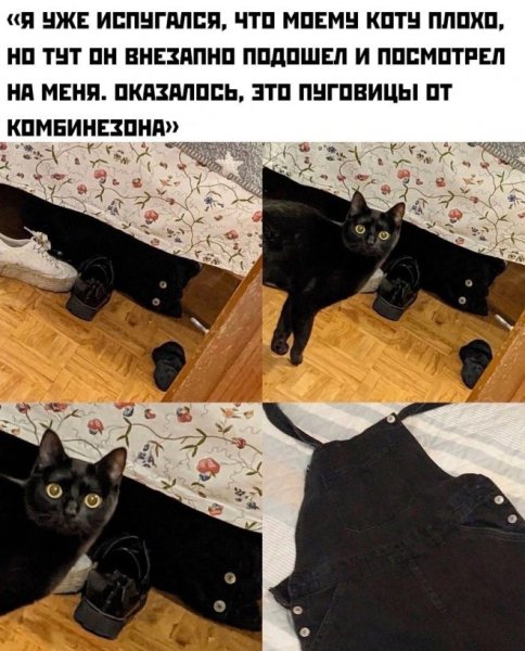 Денис Кравченко Краснодар