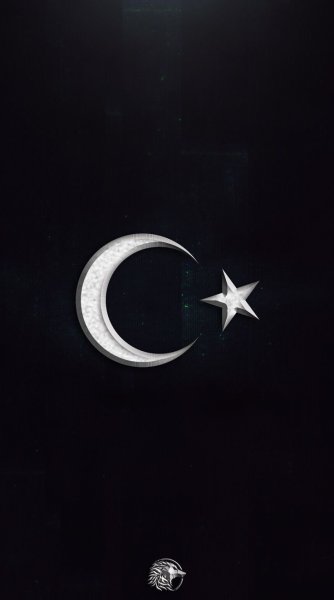 Полумесяц и звезда