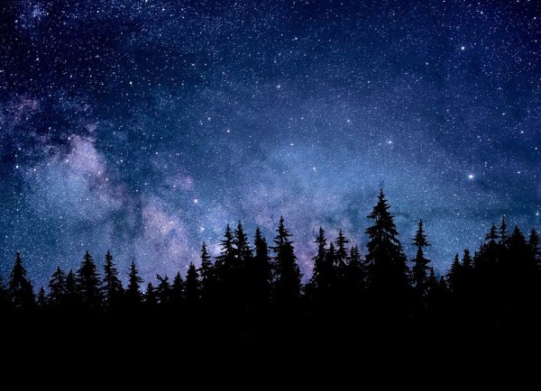 Звездное небо