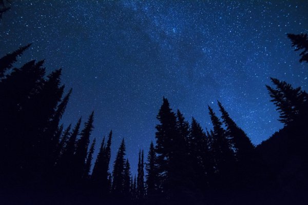 Ночь лес звезды
