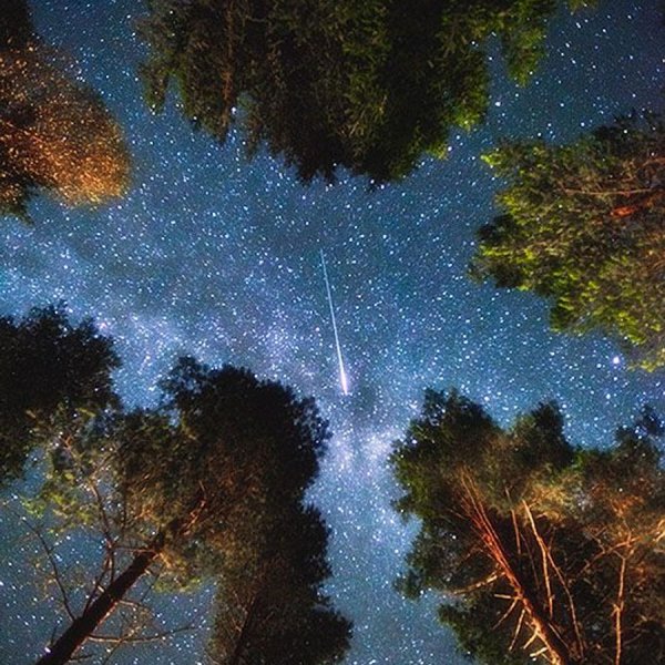 Микко Лагерстедт пейзажи