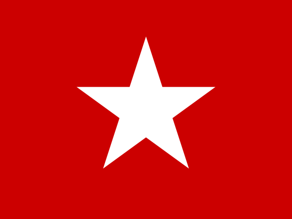 Флаг "СССР. Серп и молот"