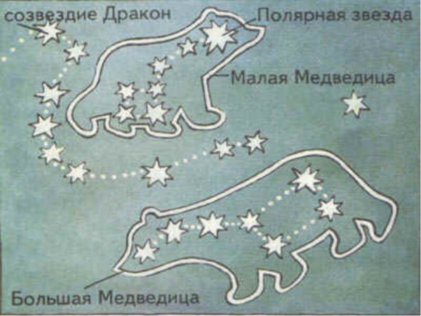 Большая и малая Медведица Полярная звезда
