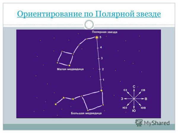Малая Медведица и Полярная звезда