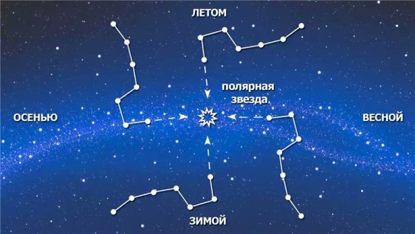 Полярная звезда малой и большой медведицы