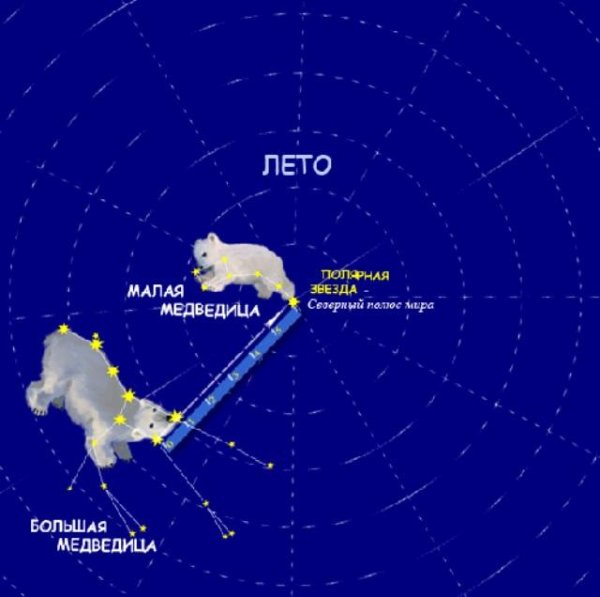 Малая Медведица название звезд