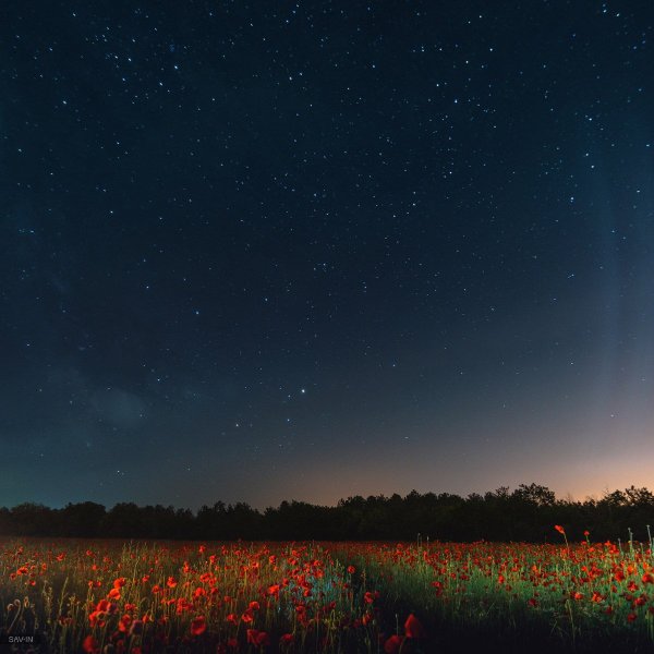 Ночное поле