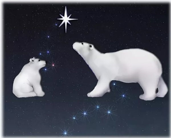 Созвездие большой и малой медведицы на небе